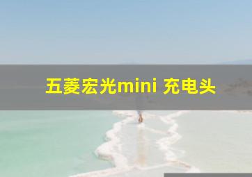 五菱宏光mini 充电头